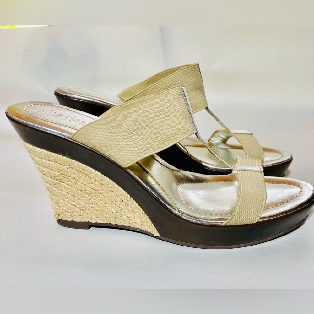 Charles David Tickle High Wedge Sandal Size 9.5